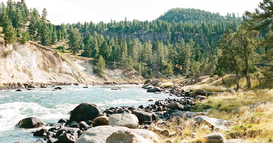 Touring – Yellowstone National Park