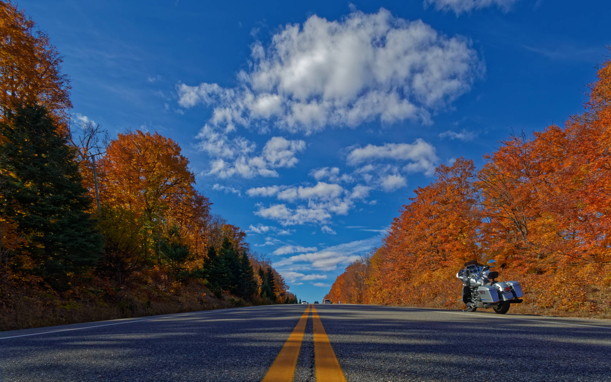 AUTUMN VAGABOND
