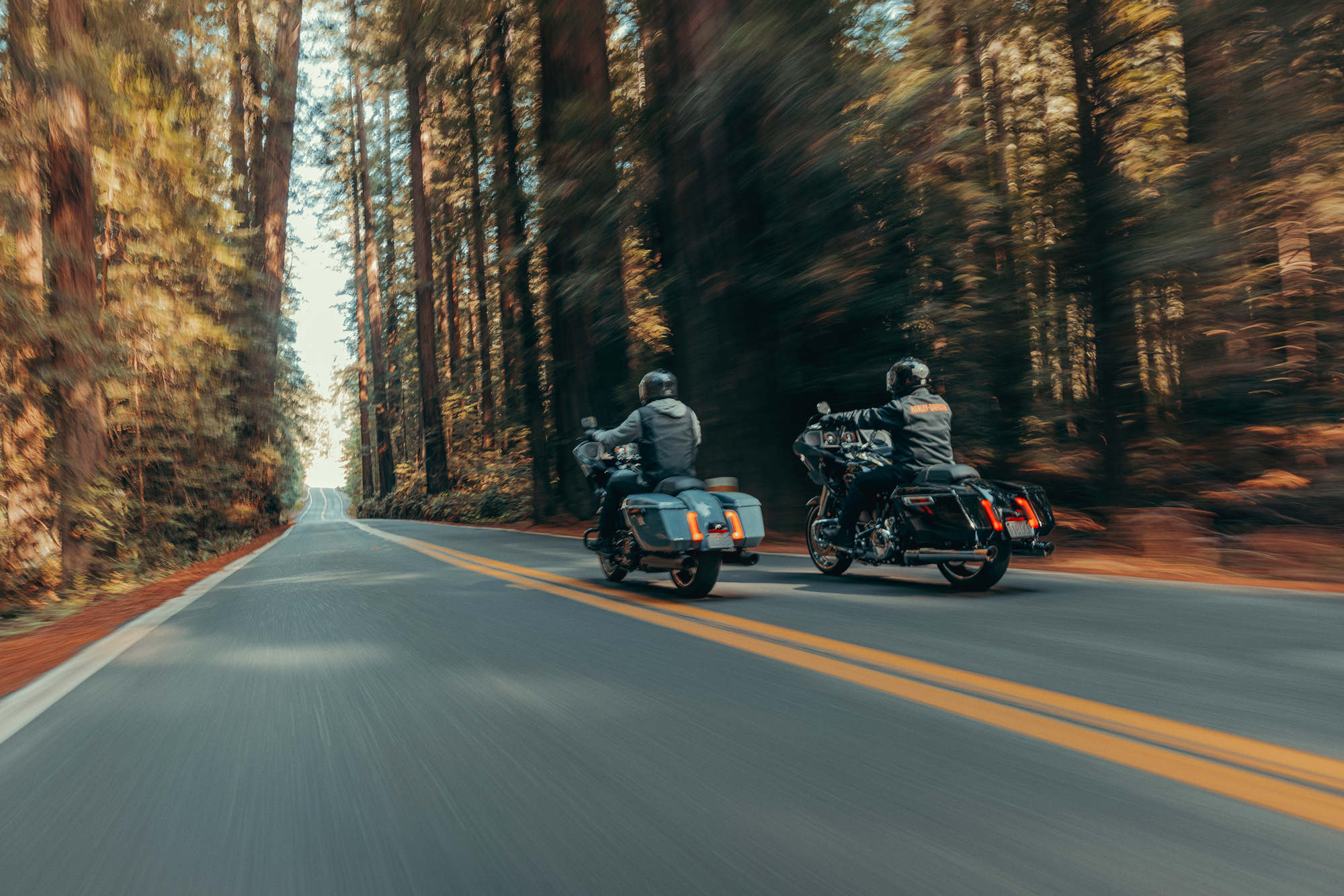 NEW LOYALTY PROGRAM FOR HOG MEMBERS