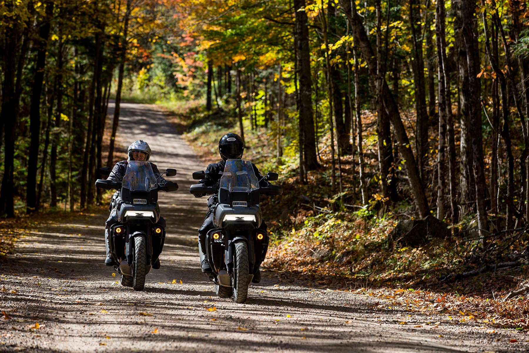 Fall Foliage in Ontario’s Highlands