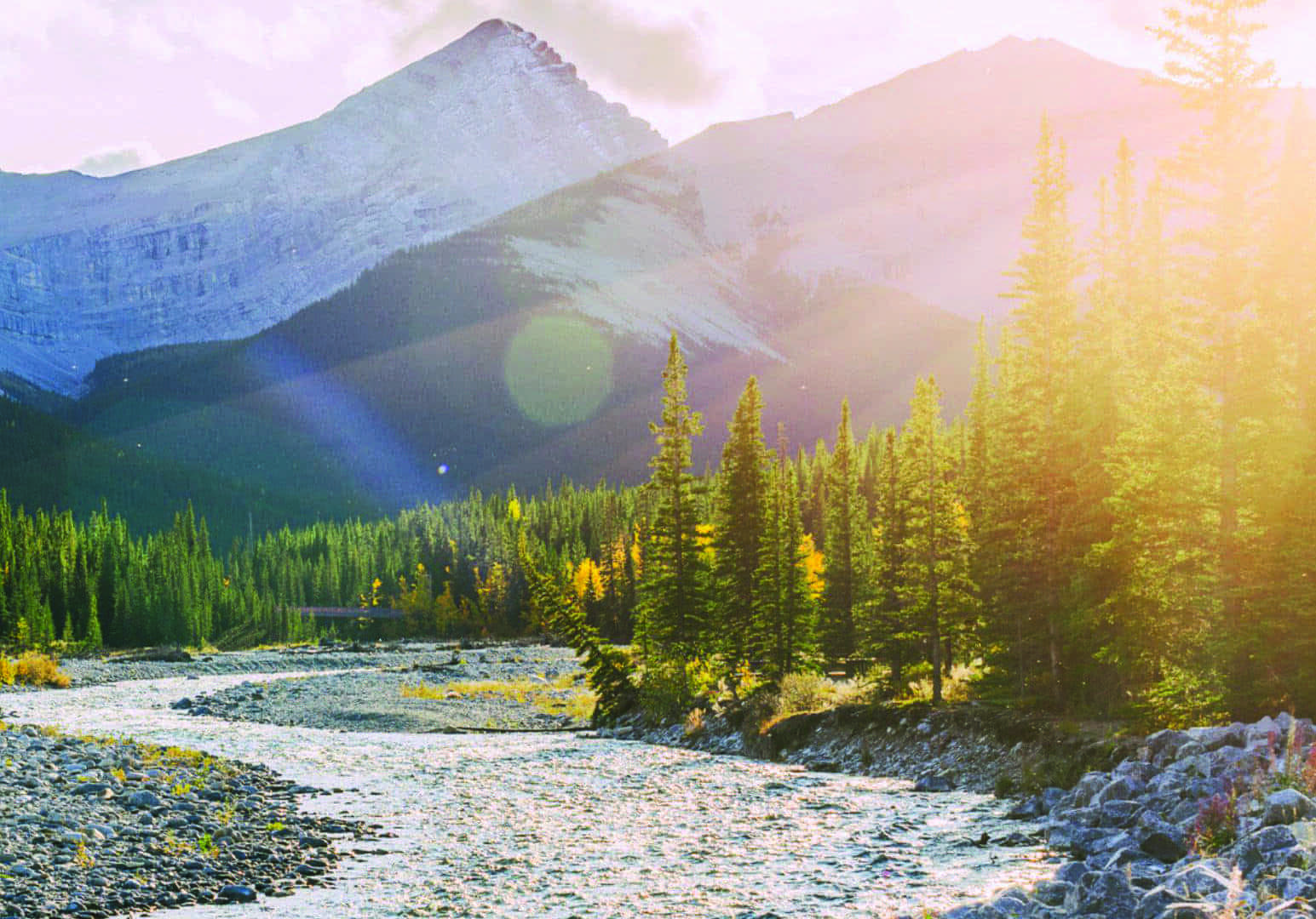 Elbow Falls and Forgetmenot Pond