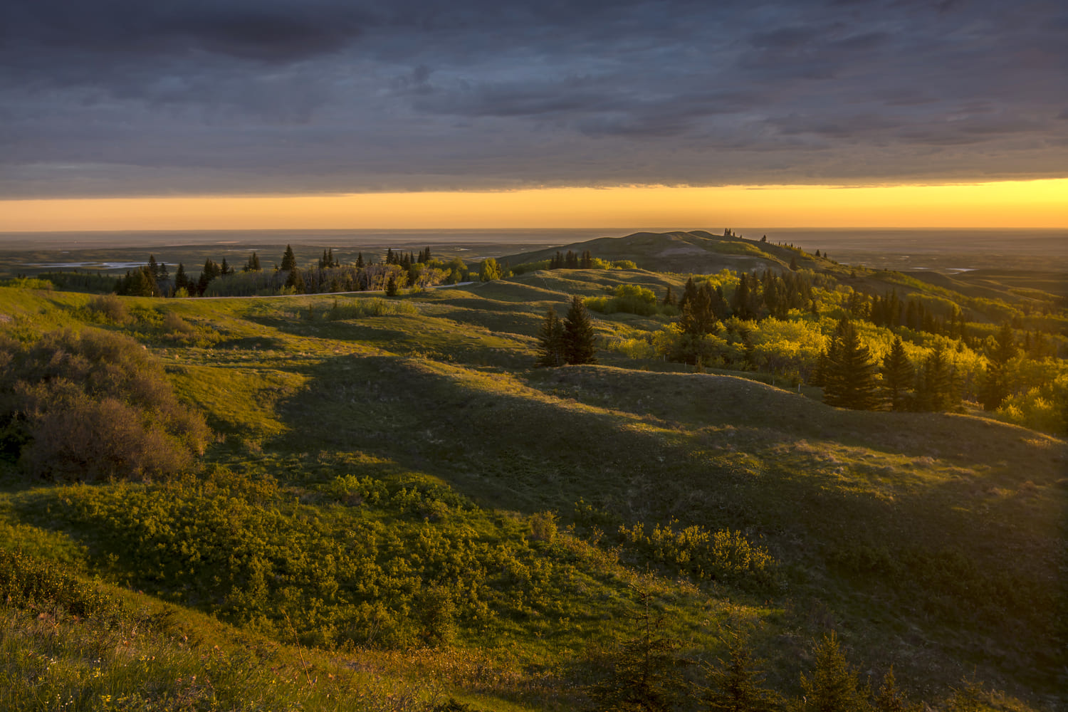 Badlands to Elkwater