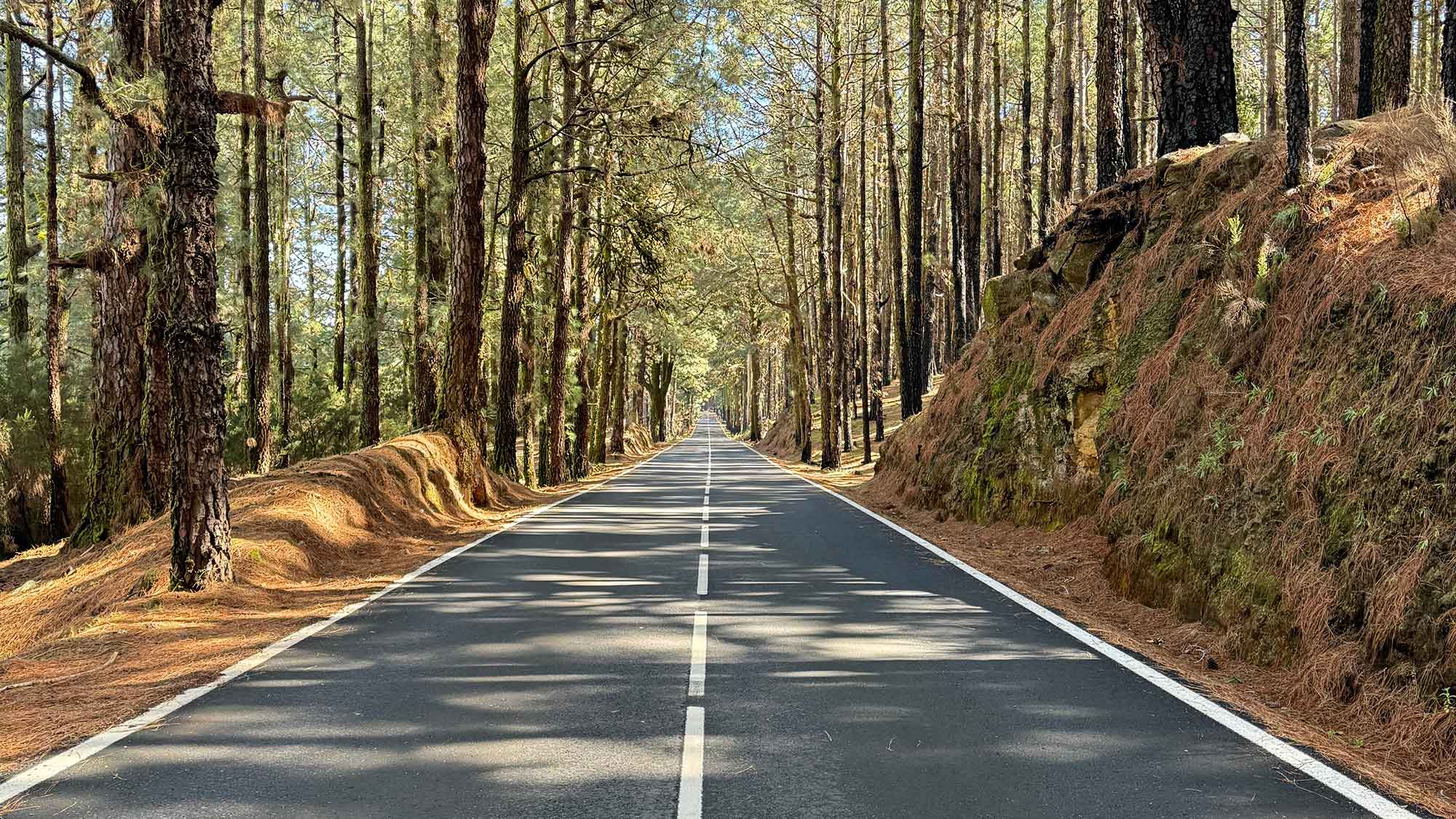 Une passion, d’une poche de jean à la route ouverte