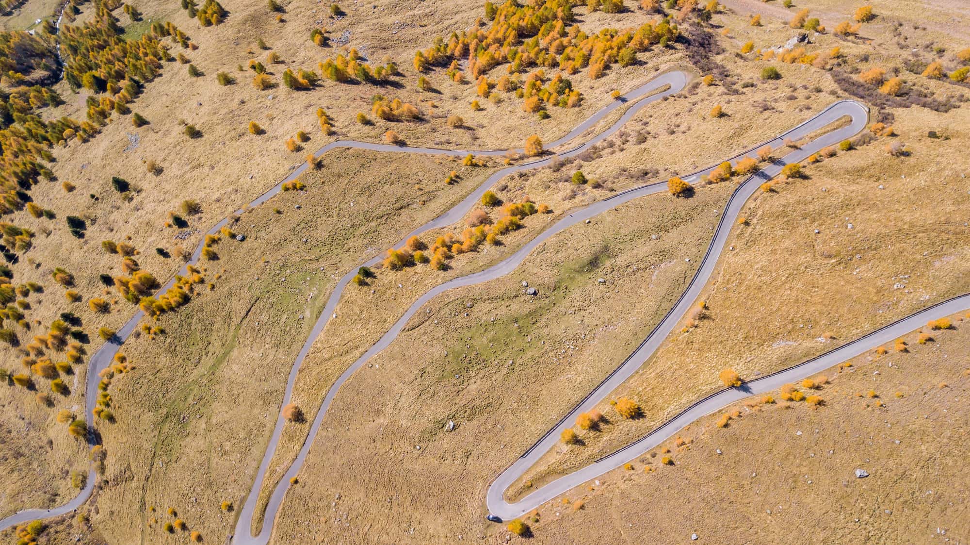 SS300 Gavia-pas