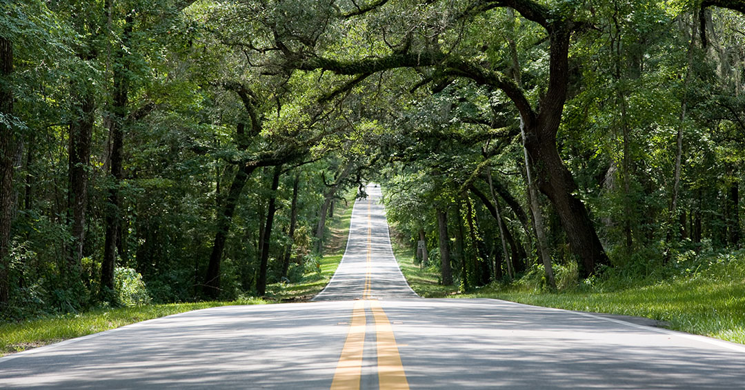Ormond Scenic Loop and Trail